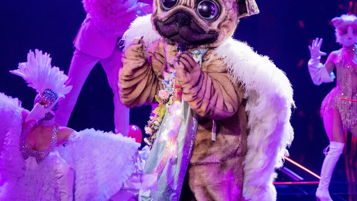Der Mops hat mit seinem ersten Auftritt bei „The Masked Singer“ die Zuschauer und das Rate-Team begeistert. Doch wer steckt unter dem süßen Kostüm?