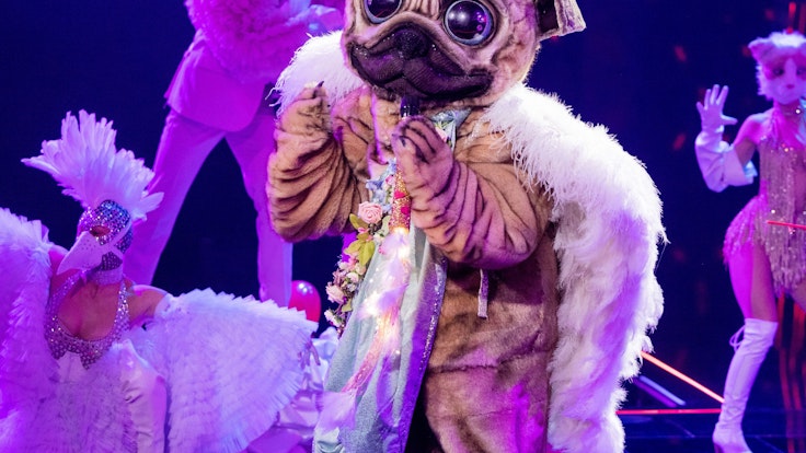 Der Mops hat mit seinem ersten Auftritt bei „The Masked Singer“ die Zuschauer und das Rate-Team begeistert. Doch wer steckt unter dem süßen Kostüm?