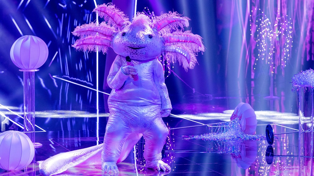 Das Axolotl performt am Samstag (16. Oktober 2021) auf der „The Masked Singer“-Bühne.