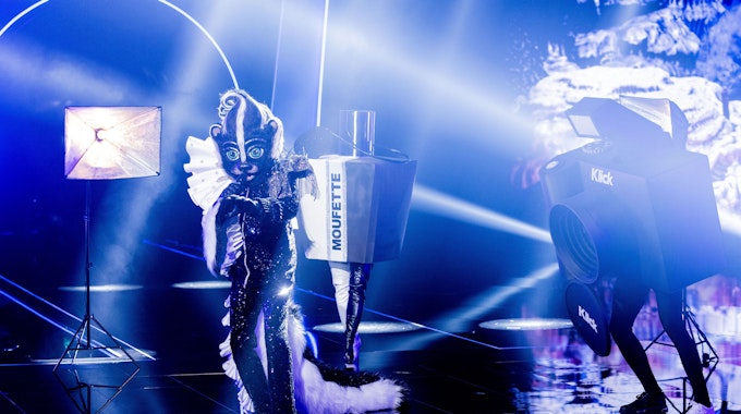 Das Stinktier steht in der „ProSieben“-Show „The Masked Singer“ auf der Bühne.