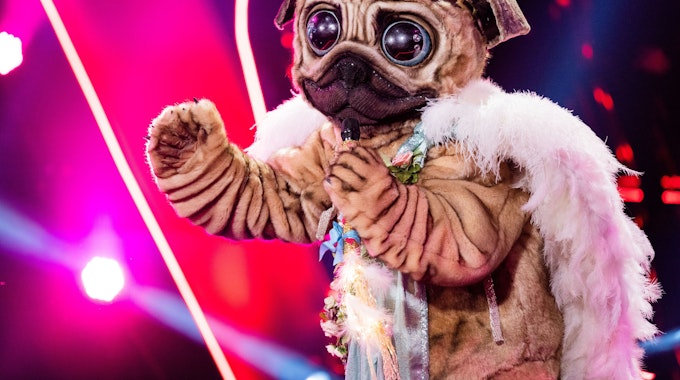 Der Mops steht in der „ProSieben“-Show „The Masked Singer“ im Oktober 2021 auf der Bühne.