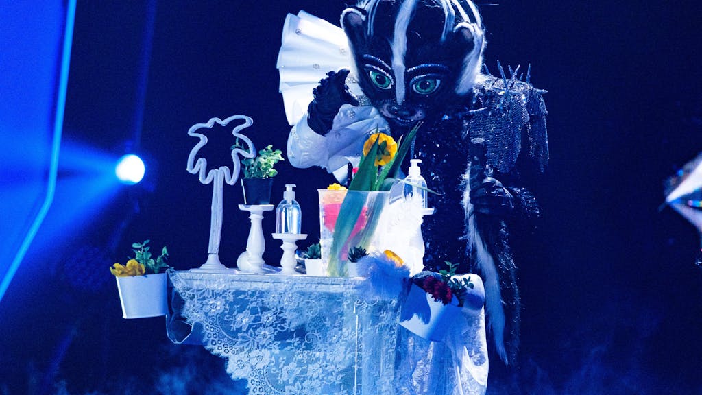 Das Stinktier bei seinem Auftritt am Sonntag (31. Oktober) bei „The Masked Singer“: Am Ende steckte eine wahre Schlager-Legende in dem Kostüm.