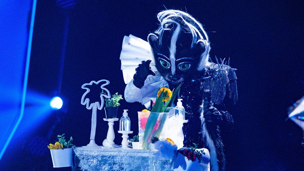 Das Stinktier bei seinem Auftritt am Sonntag (31. Oktober) bei „The Masked Singer“: Am Ende steckte eine wahre Schlager-Legende in dem Kostüm.