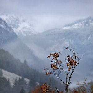 Im Allgäu ist der Winter eingebrochen – der erste Schnee ist gefallen. Viele freuten sich darüber. Auf dem Foto (aufgenommen am 13. Oktober 2021) sieht man mit Neuschnee bedeckte Berge im 1139 Meter hoch gelegenen Ortsteil Oberjoch.