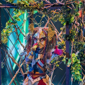 Die Heldin steht in der „ProSieben“-Show „The Masked Singer“ auf der Bühne.