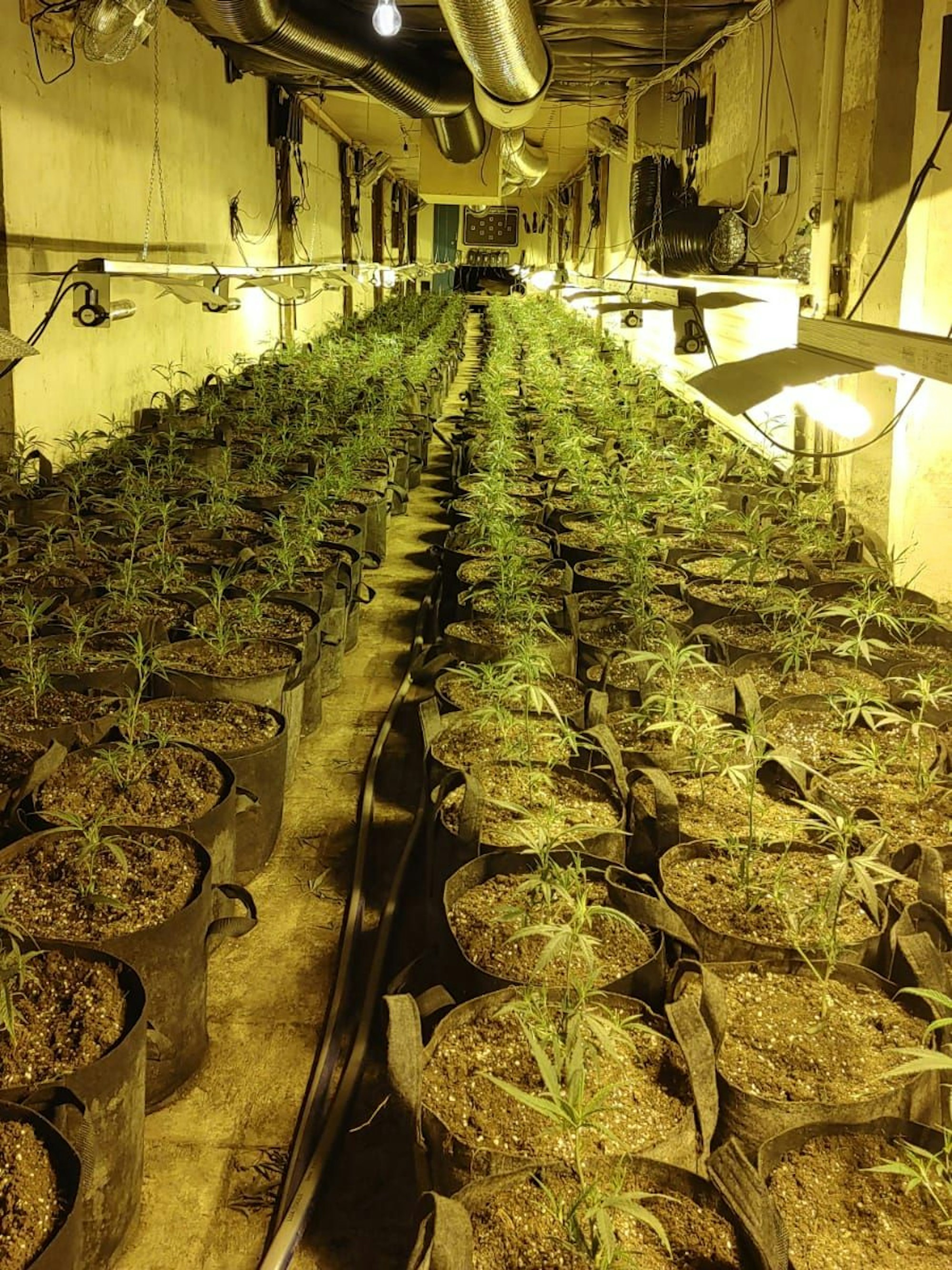 Eine Bundeskegelbahn im Keller des Hauses wurde zur Anzucht der Cannabisplantagen umgebaut.