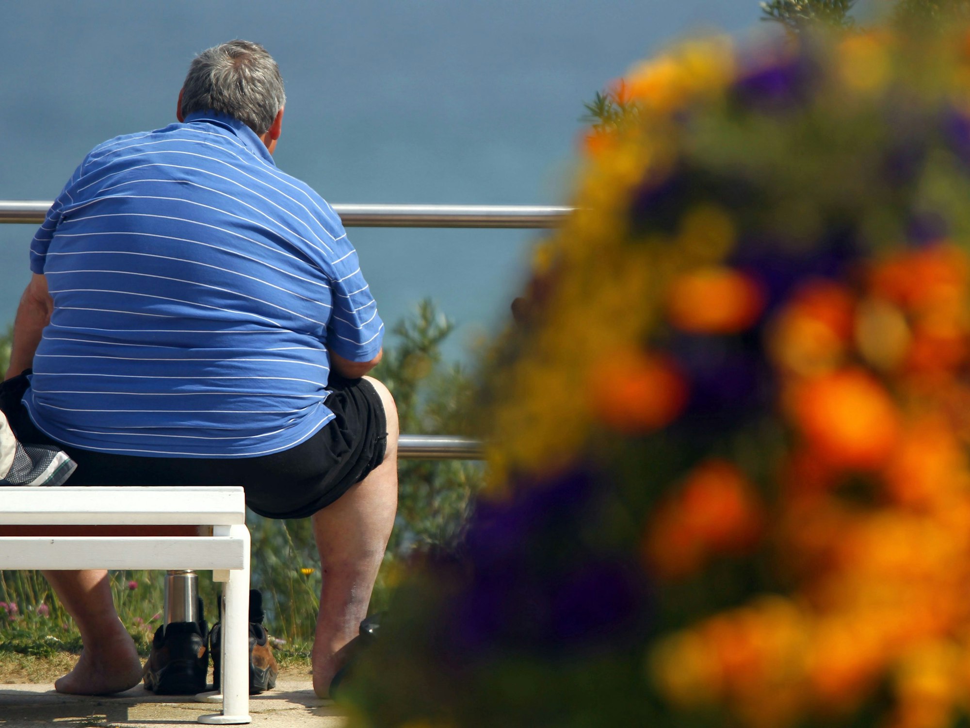 Ein übergewichtiger Mann sitzt auf einer Bank an der Strandpromenade an der Ostsee. Immer mehr Menschen in Deutschland sind einer Studie zufolge fettleibig.