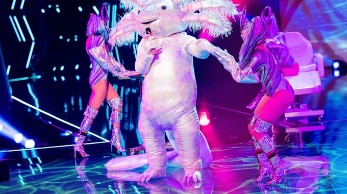 Das Axolotl steht in der „ProSieben“-Show „The Masked Singer“ auf der Bühne.
