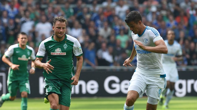 Werders Philipp Bargfrede und Schalkes Franco Di Santo kämpfen um den Ball.