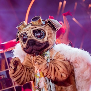 Der Mops steht in der ProSieben-Show „The Masked Singer“ auf der Bühne.