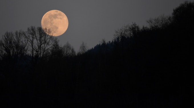 Der Mond geht als sogenannter Supervollmond auf, im Vordergrund sind Bäume auf einem Hügel zu sehen.&nbsp;