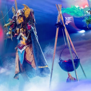 Die Heldin steht in der ProSieben-Show „The Masked Singer“ auf der Bühne.