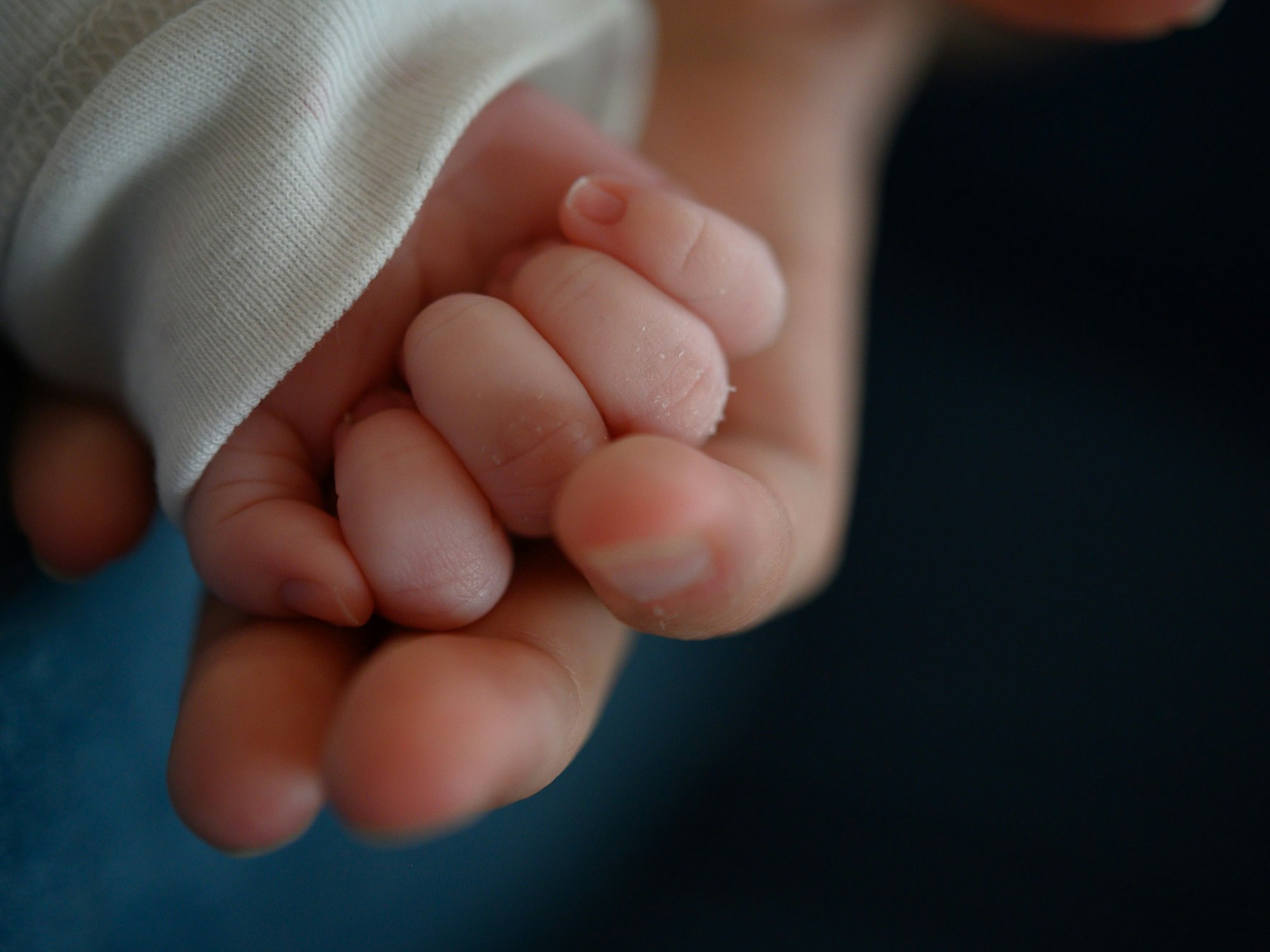 Stuttgart: Die Hand eines zwei Wochen alten Säuglings liegt in der Hand seiner Mutter.
