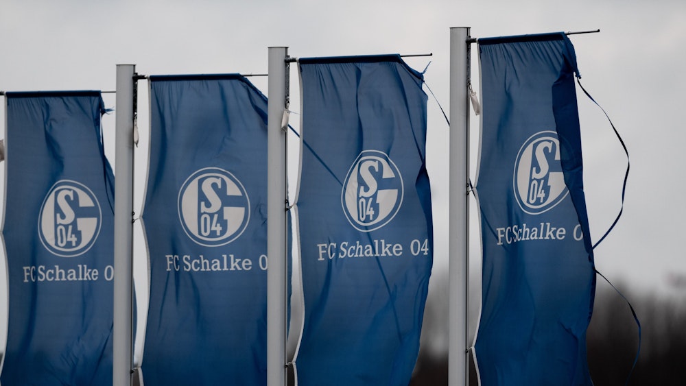 Fahnen mit dem Logo des FC Schalke 04 wehen auf dem Trainingsgelände in Gelsenkirchen.