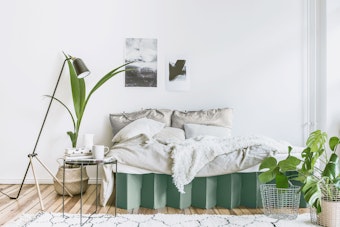Pflanzen im Schlafzimmer können ein gesundes Raumklima fördern.