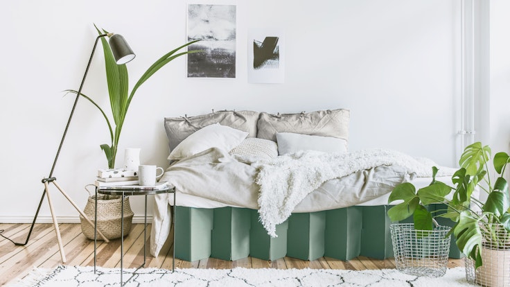 Pflanzen im Schlafzimmer können ein gesundes Raumklima fördern.
