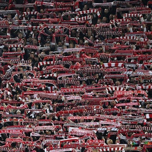 Blick in den Fan-Block des 1. FC Köln