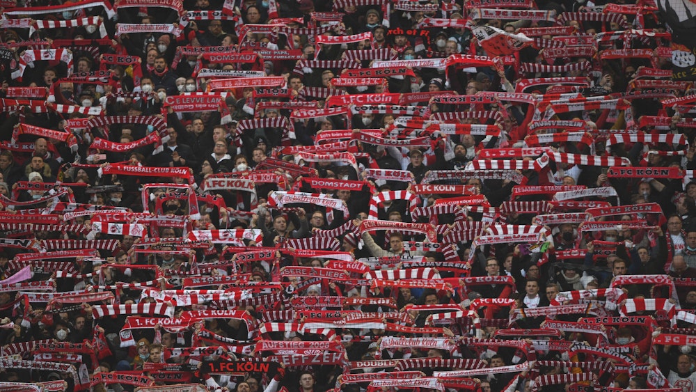 Blick in die Fankurve des 1. FC Köln