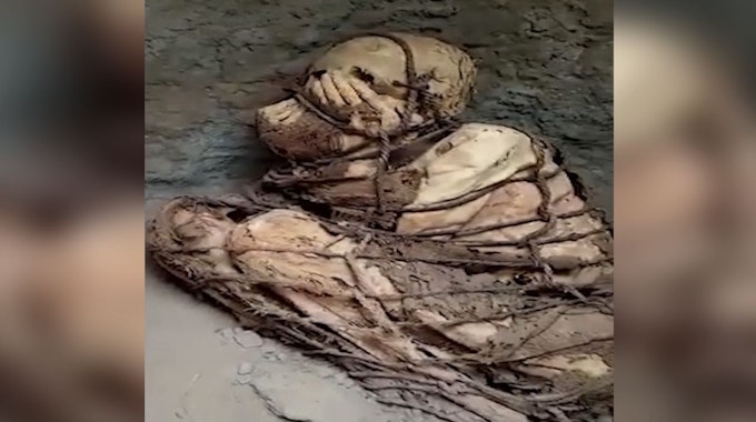 Das Foto (heruntergeladen am 29. November) zeigt eine Mumie aus Peru, von Seilen umwickelt und in gekrümmter Haltung.