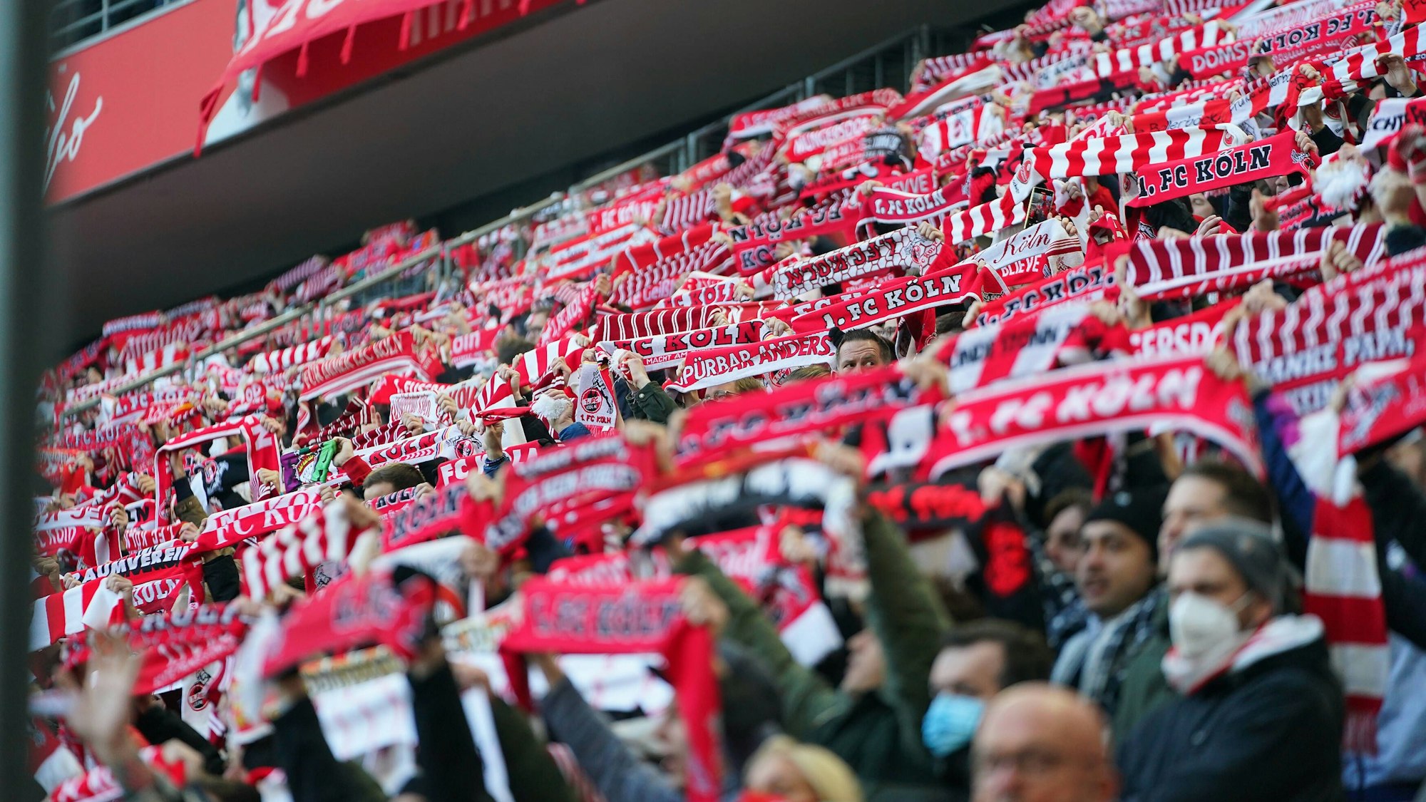 Fans des 1. FC Köln beim Spiel gegen Borussia Mönchengladbach