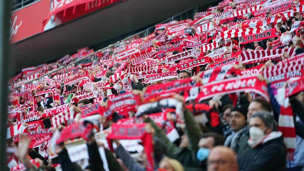 Fans des 1. FC Köln beim Spiel gegen Borussia Mönchengladbach
