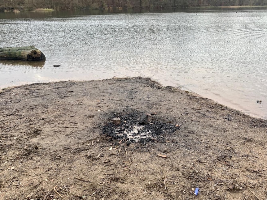 Am Höhenfelder See in Köln-Dellbrück werden mutmaßlich gesunde Bäume abgeholzt, um daraus Lagerfeuer anzuzünden.
