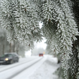 Ein Auto fährt über eine zugeschneite Straße.