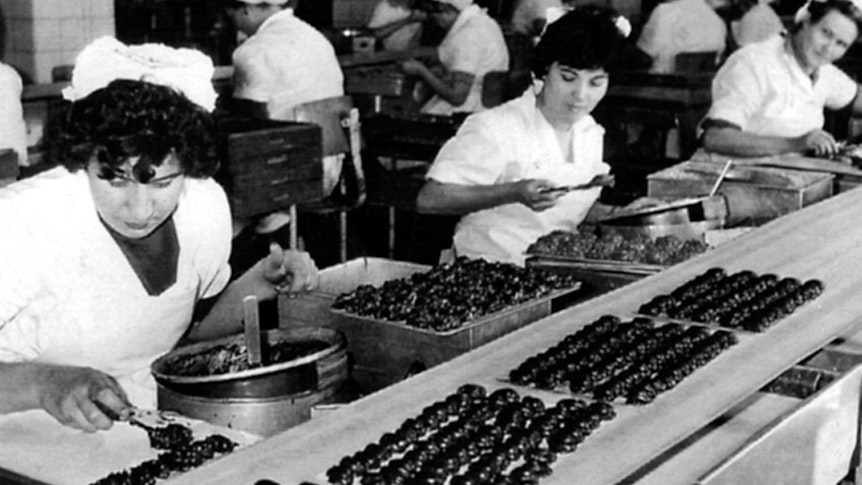 Aufbruch in ein fremdes Land. "Schokoladen-Mädchen" am Fließband bei Stollwerck in Köln in den 60er Jahren.