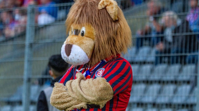 Das Maskottchen "Pröppi" beim Spiel des Wuppertaler SV gegen Rot-Weiß Essen am 25. August 2021, sorgte zuletzt mit einem Ausraster für Aufsehen.