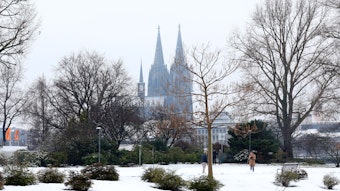 Köln: Schnee in Köln, Rheinpark
Blick auf den Dom