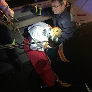 Ein Feuerwehrmann umarmt den geretteten Hund auf der Autobahn 4.