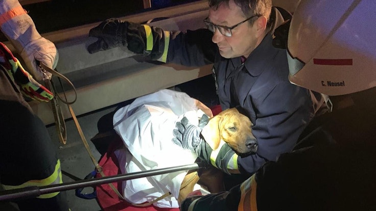 Ein Feuerwehrmann umarmt den geretteten Hund auf der Autobahn 4.