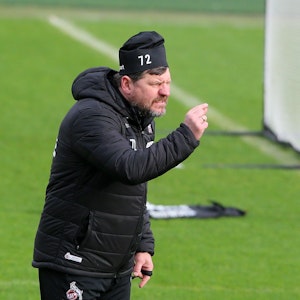 Steffen Baumgart im Training des 1. FC Köln