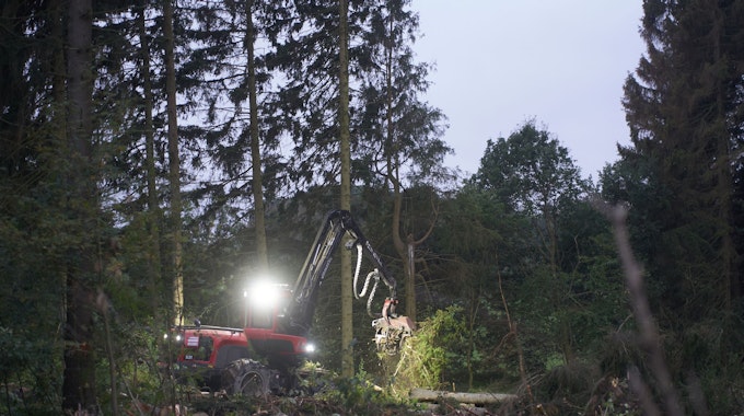 Ein Harvester erntet am Waldrand in der Eifel bei Döttingen im Schein seiner Scheinwerfer an einem bedeckten Morgen Holz.