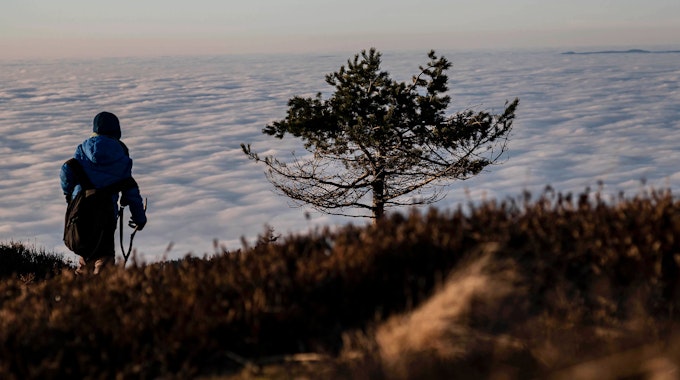 Von der Hornisgrinde im Schwarzwald ist eine Wolkendecke über der Rheinebene zu sehen. Davor läuft ein Wanderer. Foto vom 6. Januar 2020.