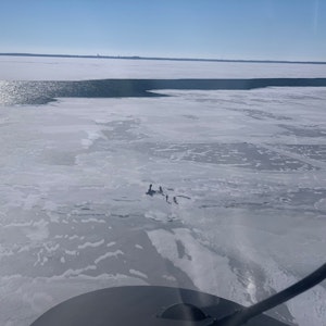 Die aus einem Hubschrauber der US-Küstenwache fotografierte Aufnahme (7. Februar 2022) zeigt auf einer Eisscholle gestrandete Menschen auf einem der fünf Großen Seen („Great Lakes“) im Nordosten der USA. Die US-Küstenwache konnte 18 Menschen von der treibenden Eisscholle retten, die sich kurz zuvor auf dem See an der Grenze zu Kanada gelöst hatte.