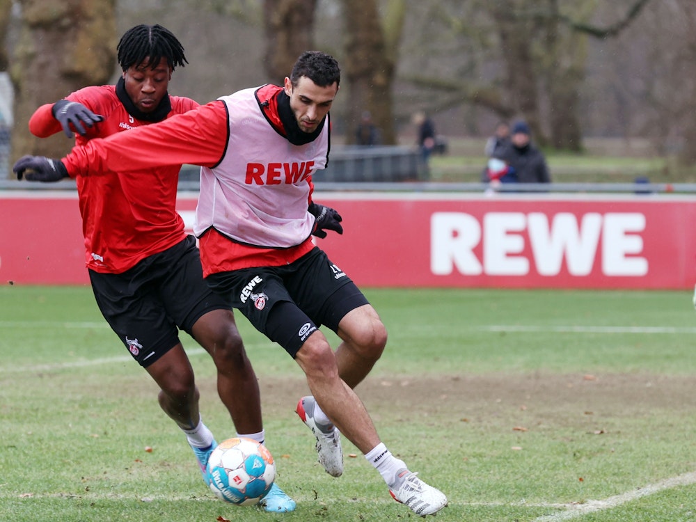 Ellyes Skhiri und Bright Arrey-Mbi trainieren beim 1. FC Köln.
