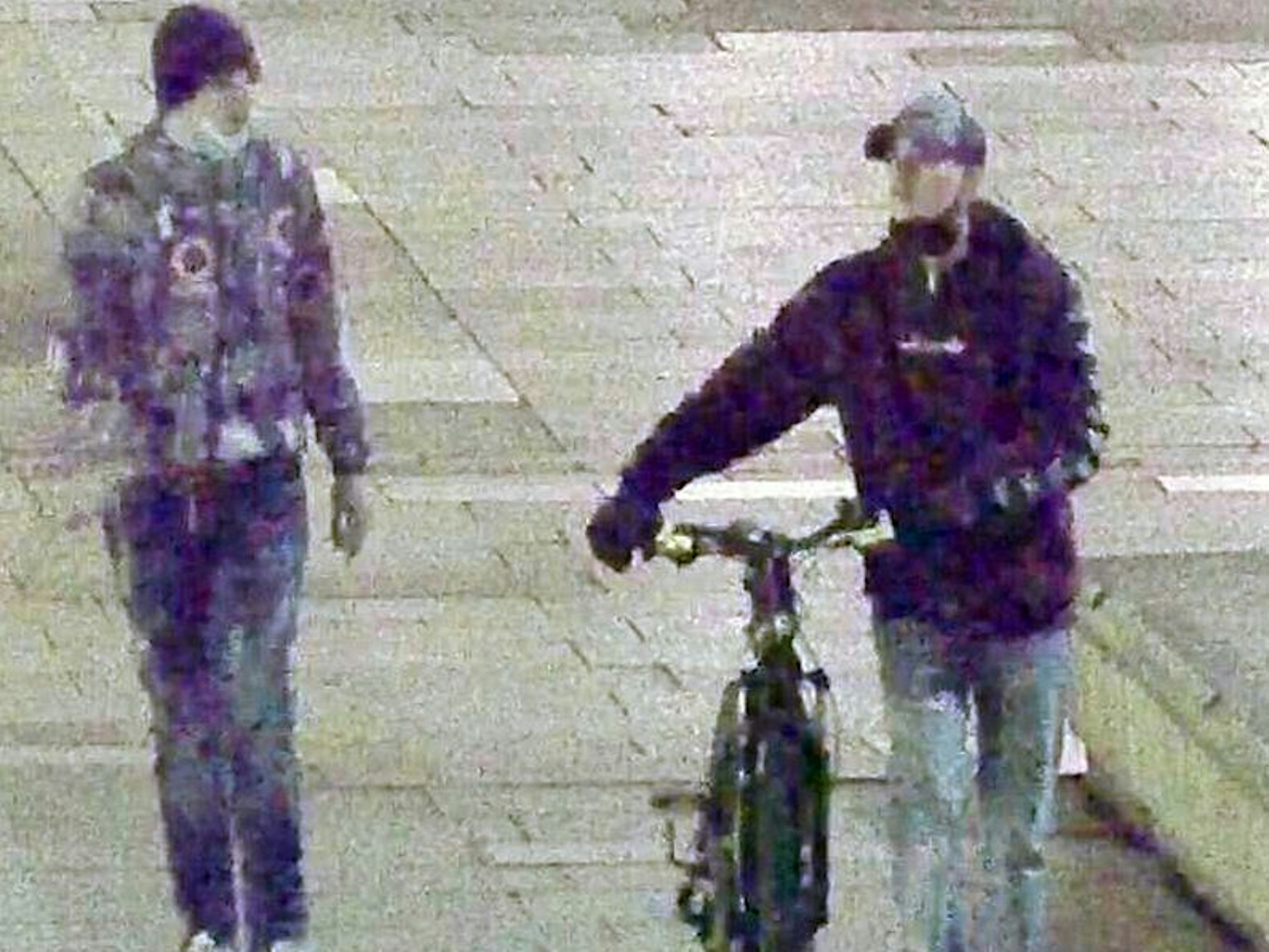 Zwei Männer, einer mit Fahrrad, gehen nebeneinander.