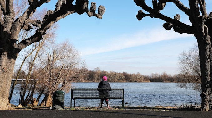 Eine Frau sitzt zwischen Platanen am Kölner Rheinufer in der Sonne.