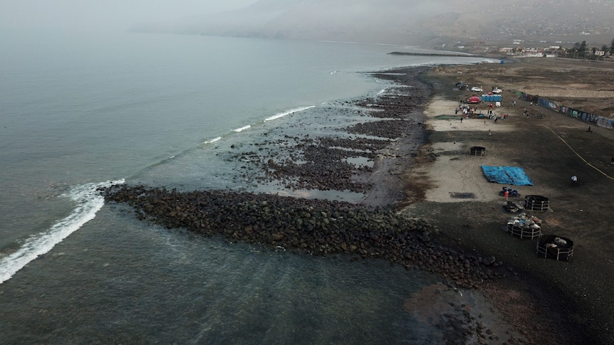 Auf diesem vom peruanischen Präsidentenamt zur Verfügung gestellten Bild ist die Lage während der Reinigungsarbeiten aufgrund einer Ölpest an der pazifischen Küste zu sehen.