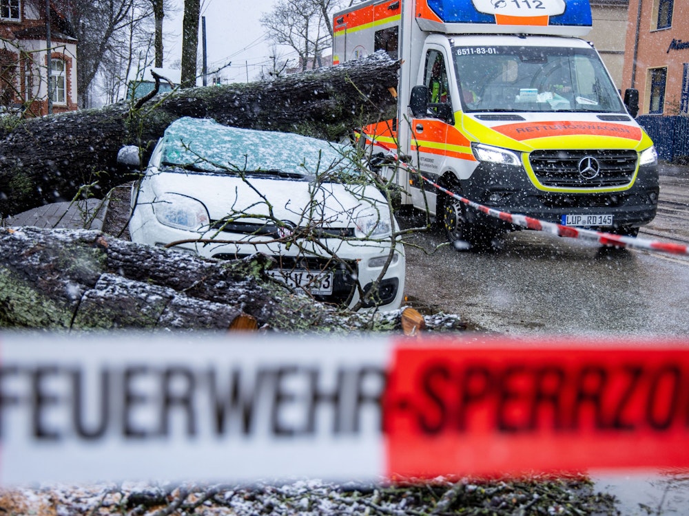Ein entwurzelten Baum liegt am 21.02.2022 in der Innenstadt auf einem Kleinwagen. Die Versicherungsbranche rechnet infolge der jüngsten Winterstürme mit Schäden in Milliardenhöhe.