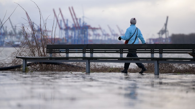 Eine Frau spaziert am 19. Februar 2022 an der Elbe bei Teufelsbrück vor der Hafenkulisse mit Containerbrücken.