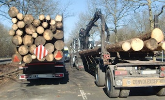 Ein Holztransporter ist völlig überladen, mit Hilfe eines Krans werden Stämme auf einen anderen Transporter umgeladen.