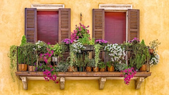 Hängepflanzen für den Balkon sorgen für eine entspannte Atmosphäre im Freien.