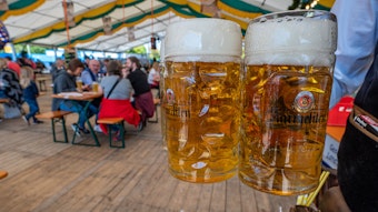 Das Foto von zwei Bierkrügen wurde am 19.09.2021 in Straubing (Bayern) aufgenommen.