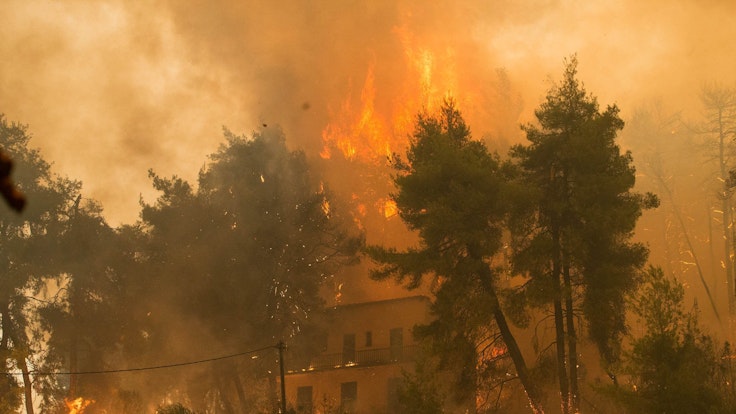 Dieses Foto zeigt einen Waldbrand am 8. August 2021 in Griechenland. Auch in NRW gab es in den vergangenen Jahren immer wieder verheerende Waldbrände.