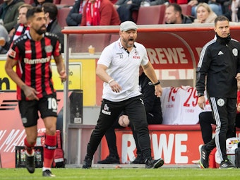 Steffen Baumgart im Spiel gegen Bayer Leverkusen