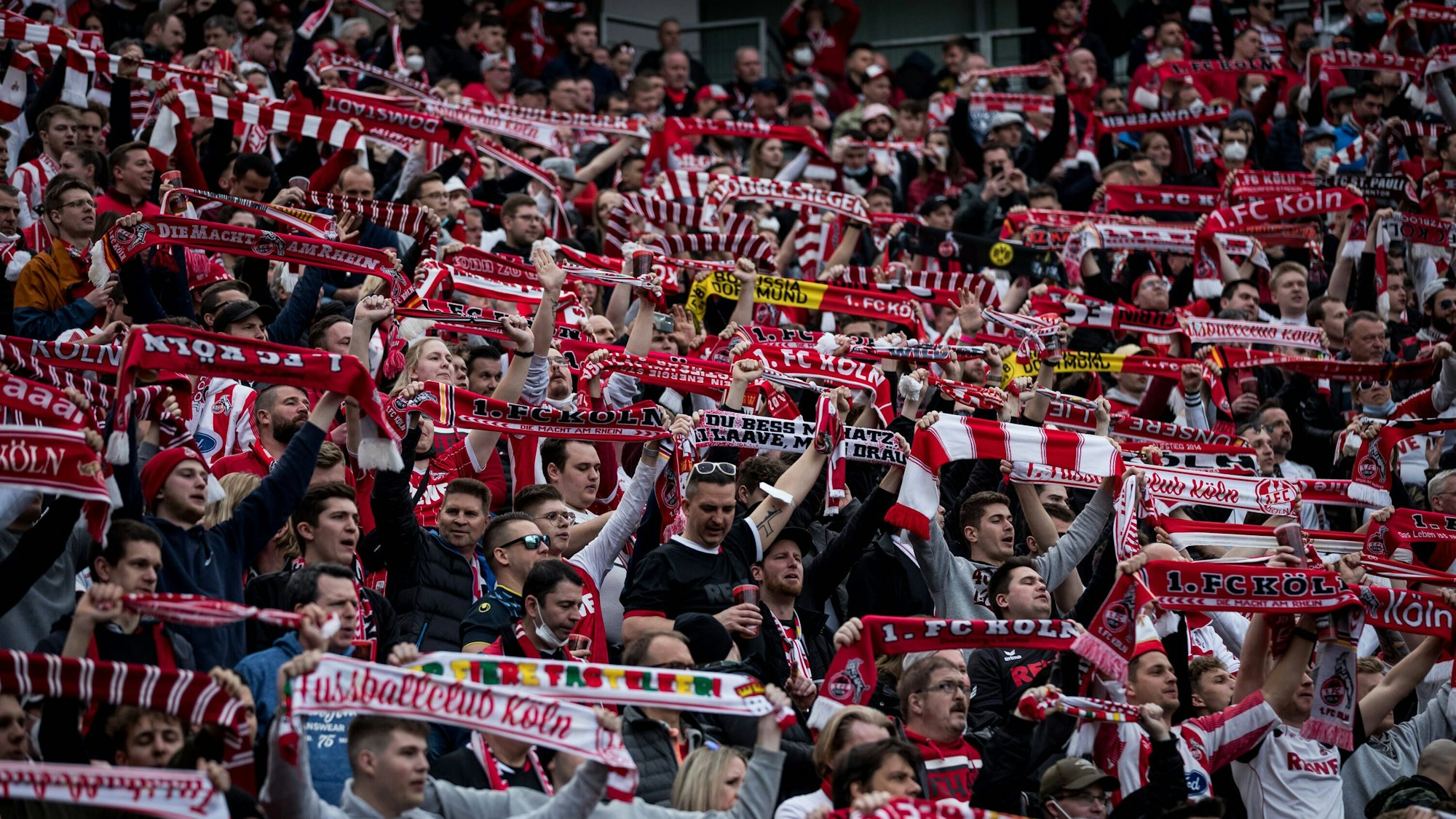 Fans des 1. FC Köln feuern ihr Team im Bundesliga-Spiel bei Bayer Leverkusen an