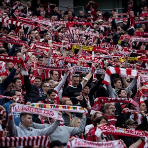 Fans des 1. FC Köln feuern ihr Team im Bundesliga-Spiel bei Bayer Leverkusen an