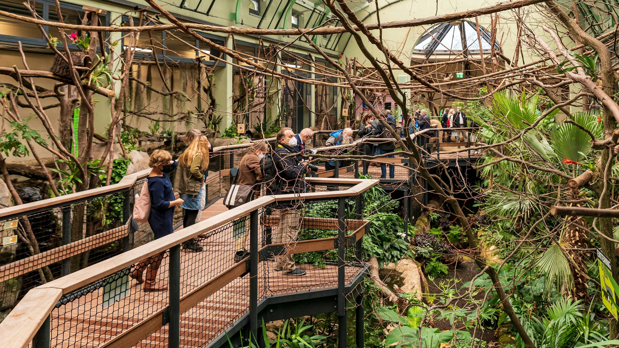 Menschen im Dschungelerlebnis-Haus im Kölner Zoo zwischen Tieren und Pflanzen.